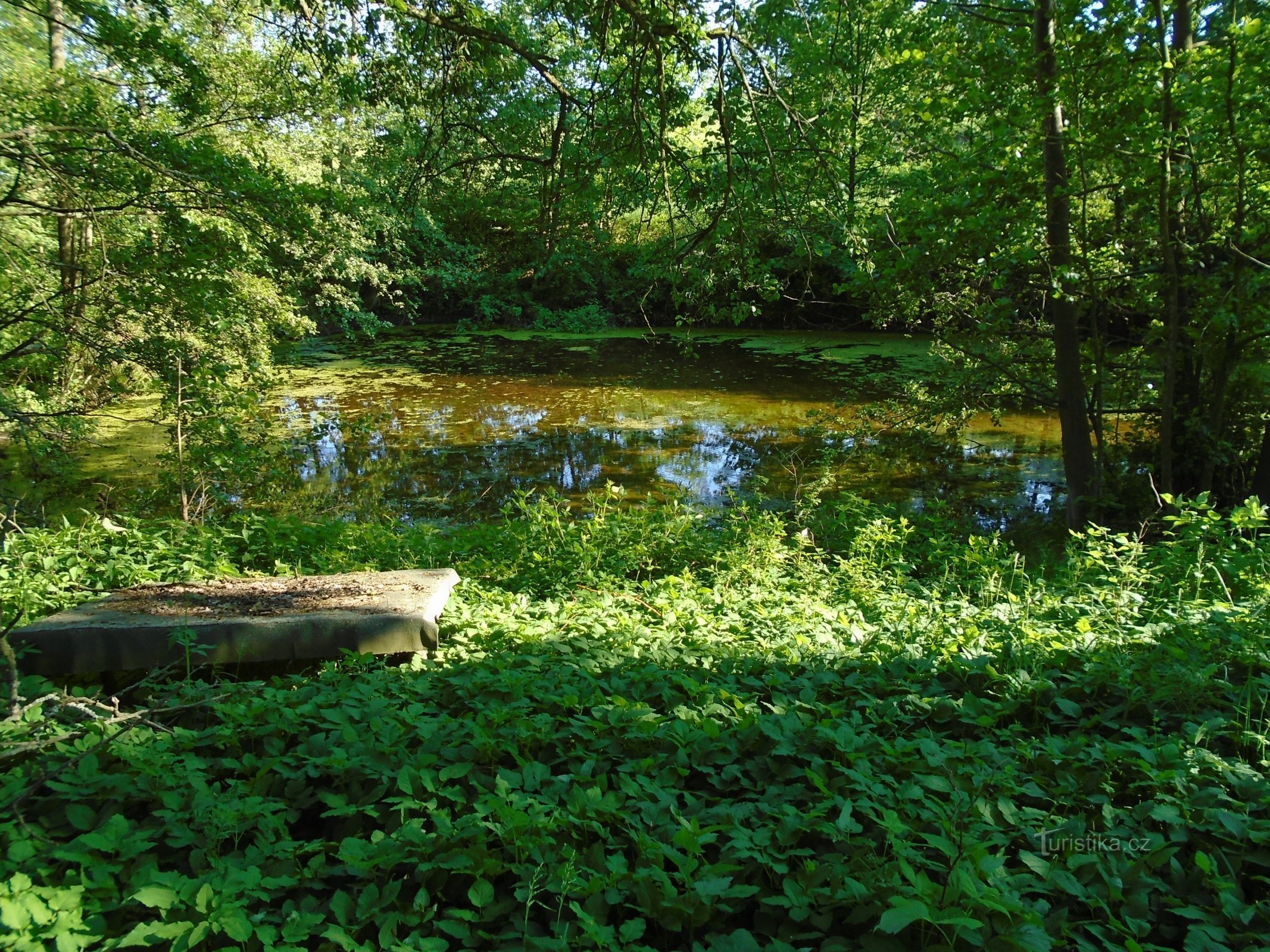 Lacul de acumulare de pe Zlámané potoc (Litoboř, 13.5.2015)