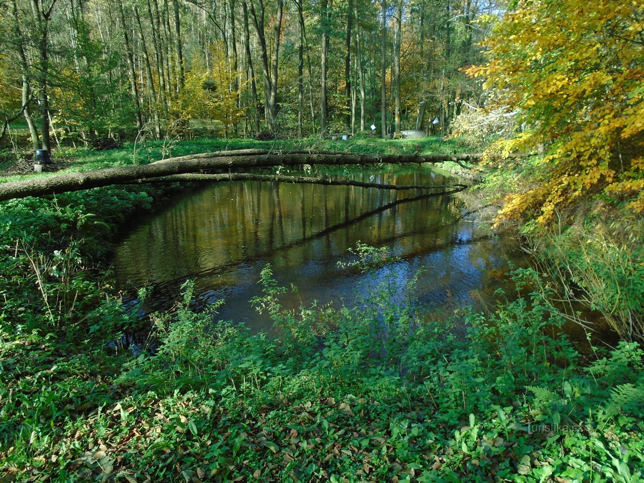 Poklekov (Havlovice) の前の貯水池