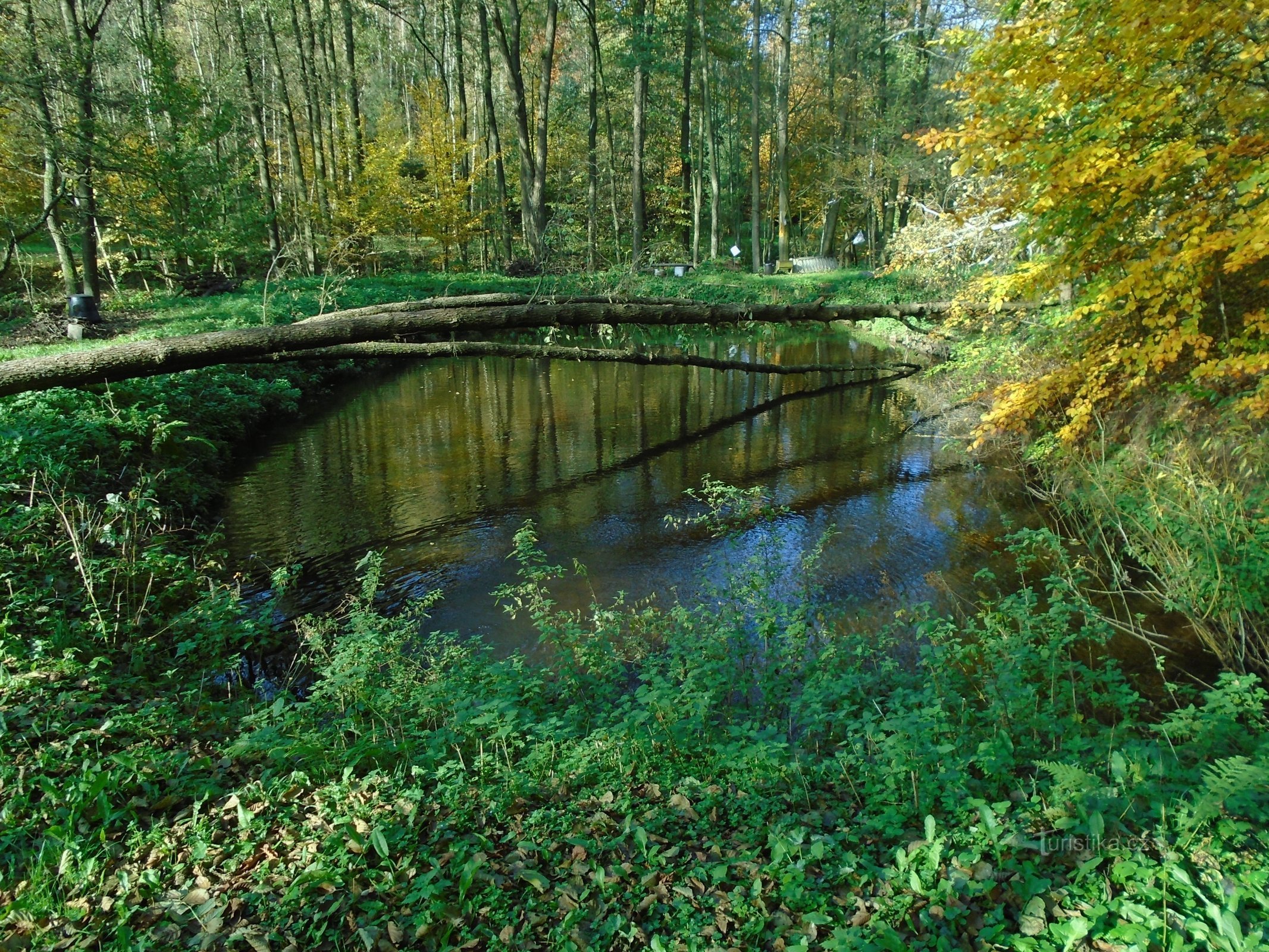 Stausee vor Poklekov (Havlovice)