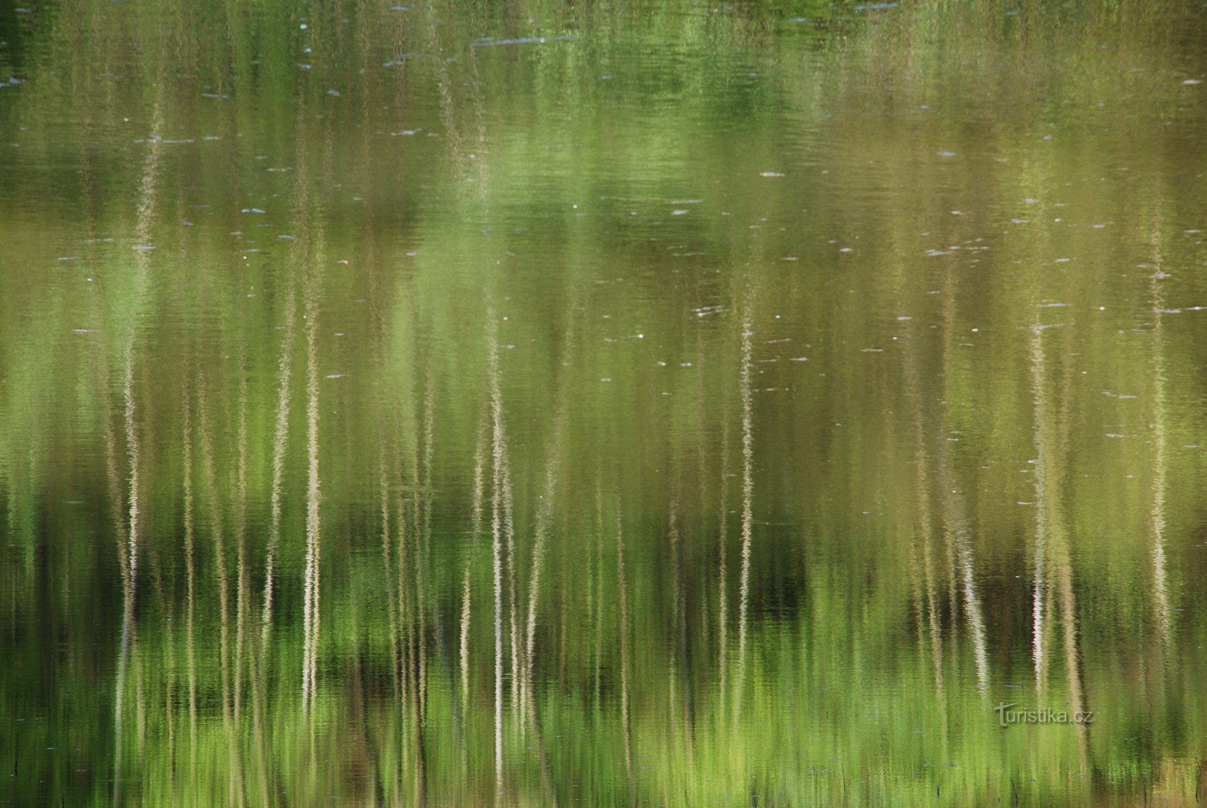 Stausee in Březiné bei Stará Ves nad Ondřejnicí