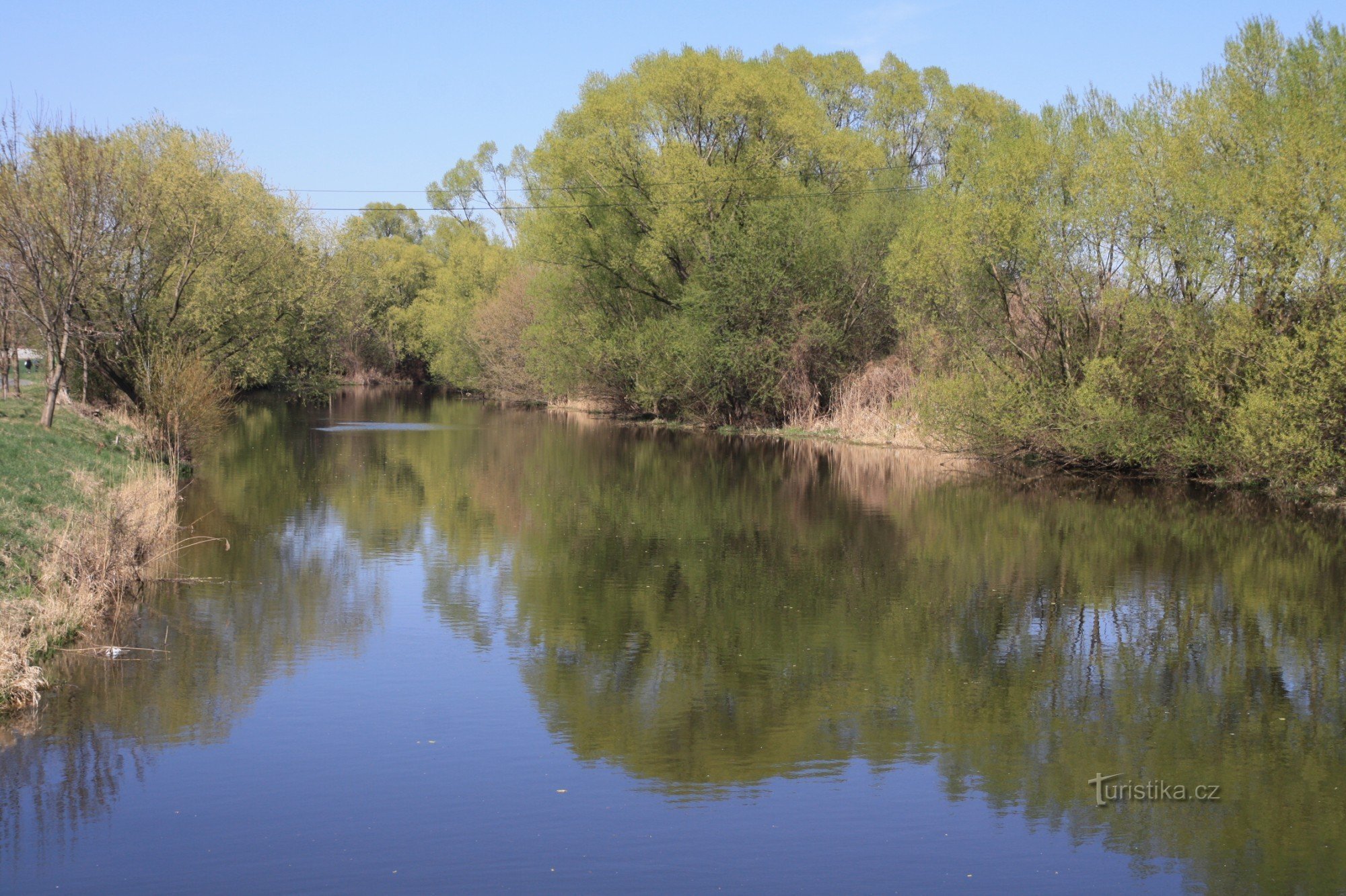 The raised level of the river Svratka