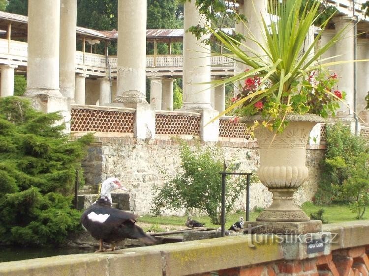 patio del castillo