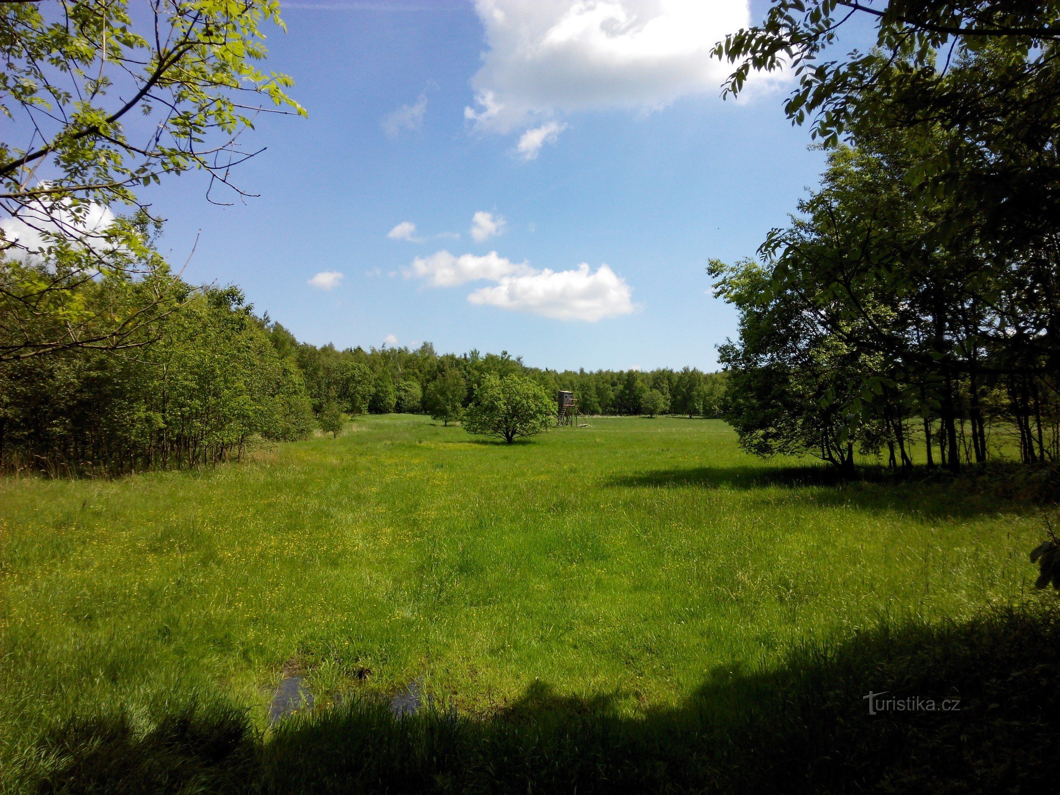 Březina plateau