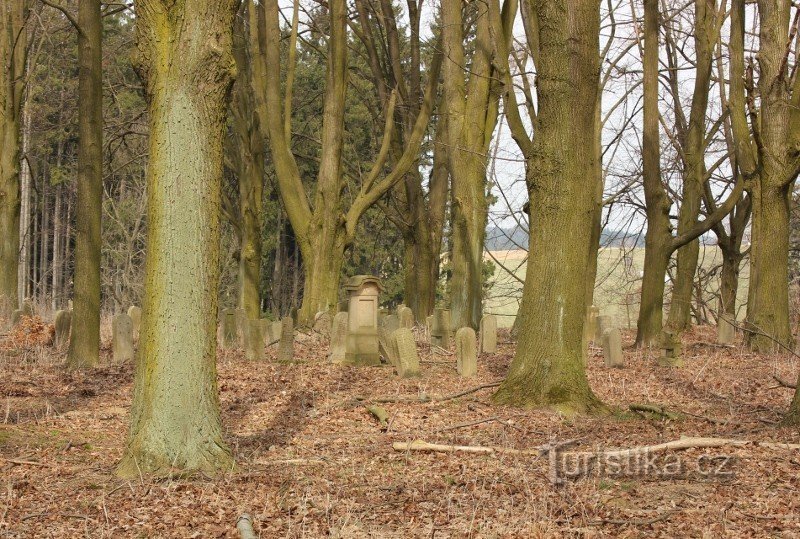 Tombstones in the typhus cemetery