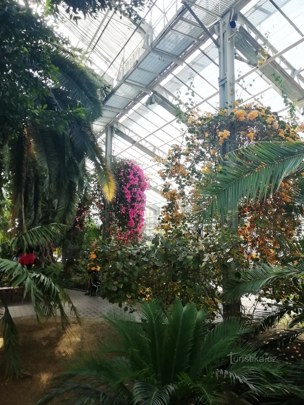 the largest greenhouse