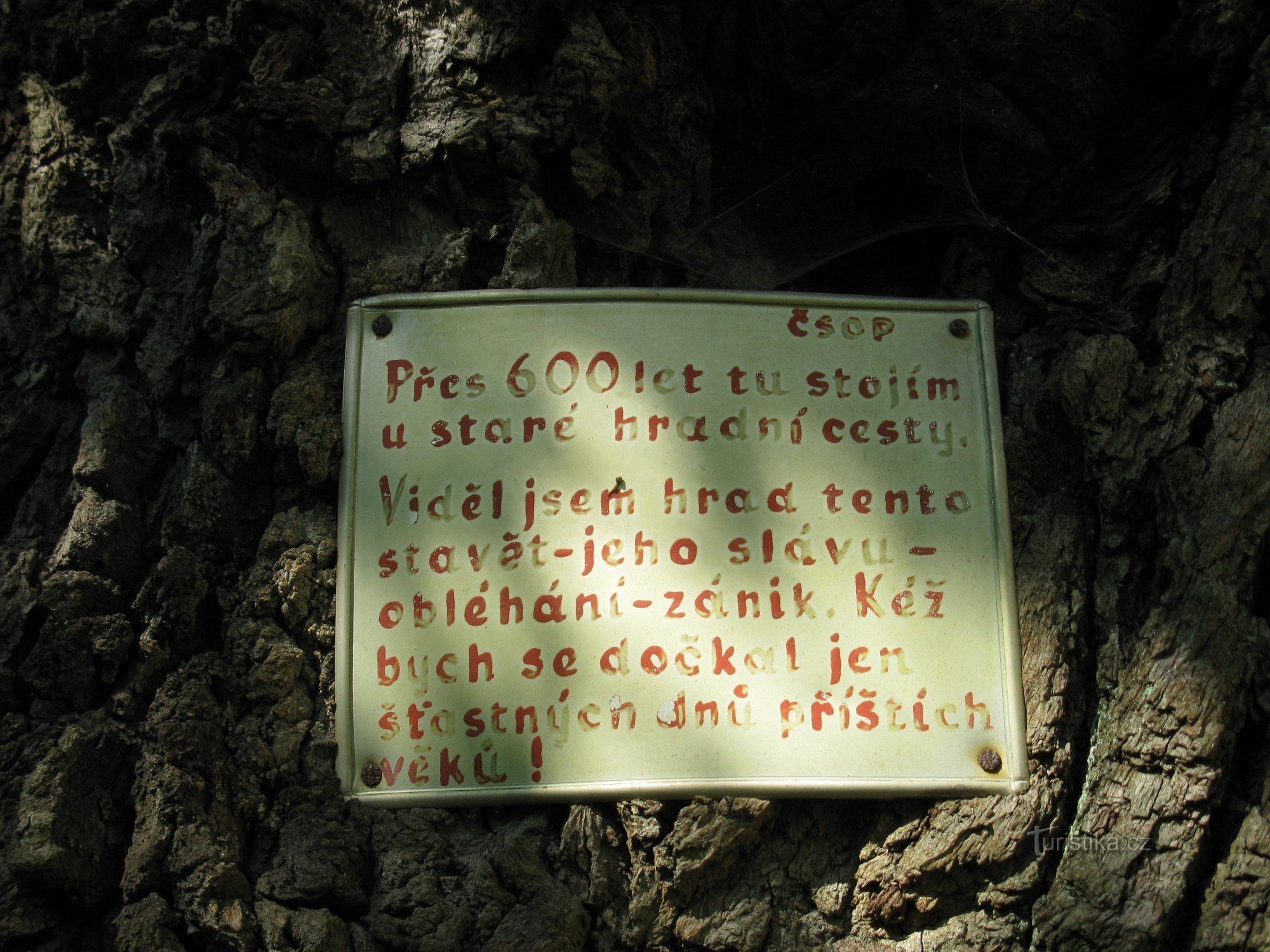 inscription on the oak tree