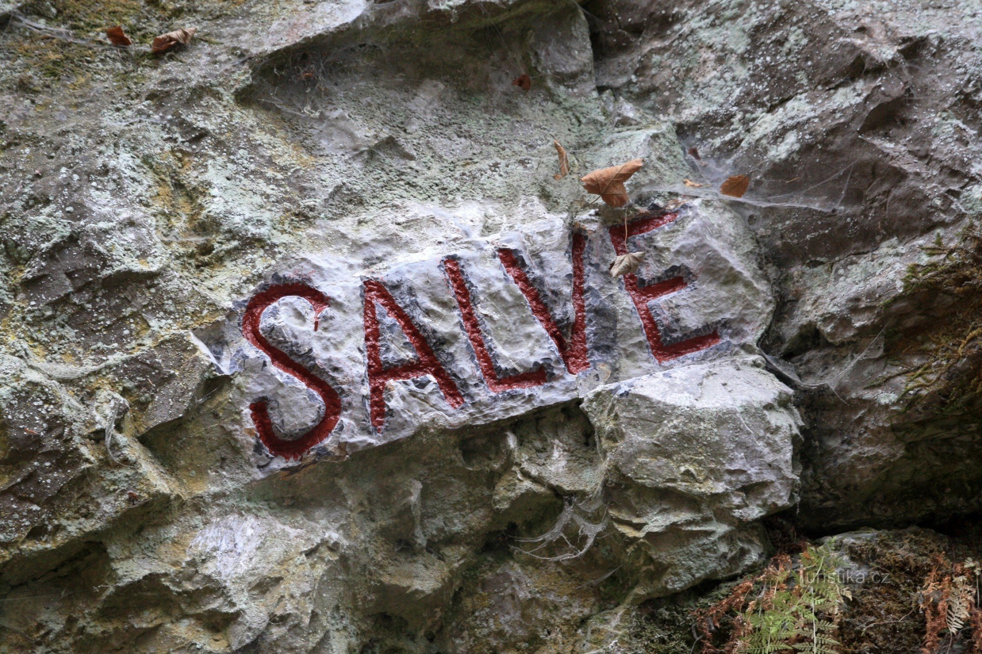 Die Inschrift Salve auf dem Felsen