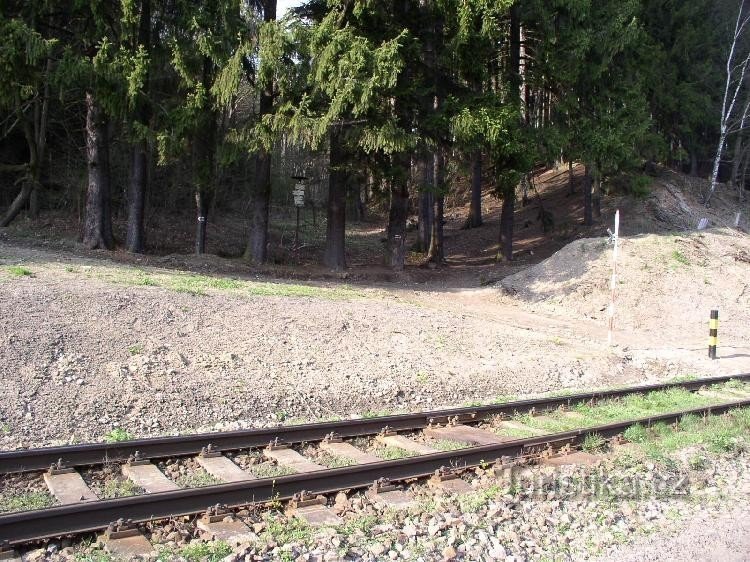 La route de Henčov mène dans la forêt en face