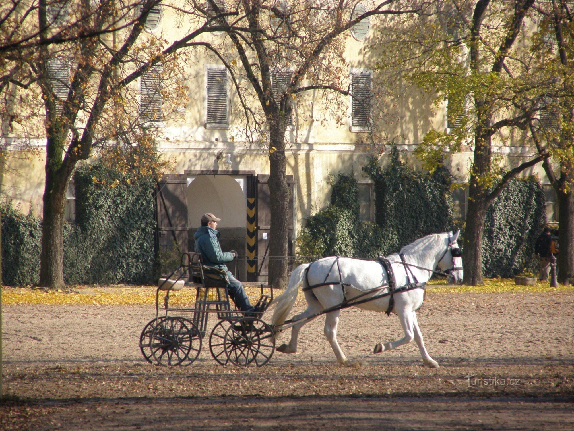 Herghelia Națională Kladruby