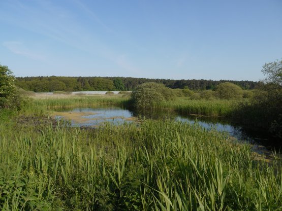 Nationaal natuurmonument Hrabanovská Černava