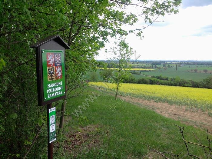 národní přírodní památka Na Skále