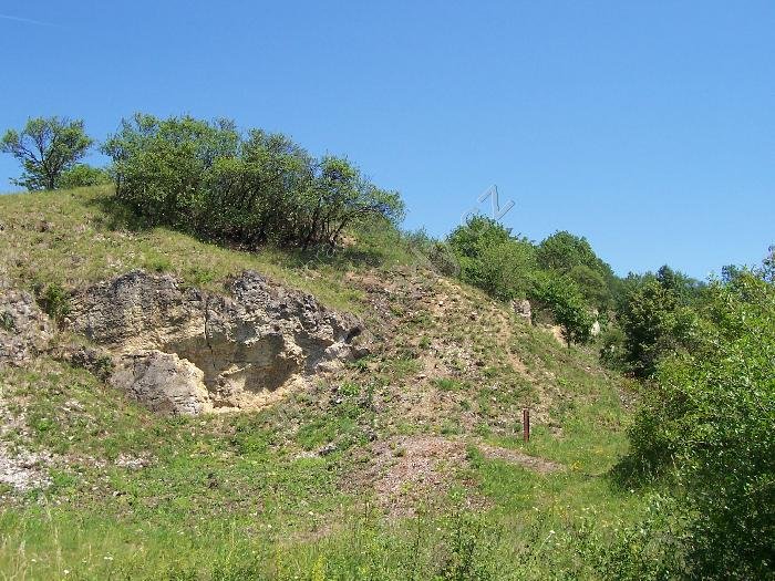 národní přírodní památka Růžičkův lom