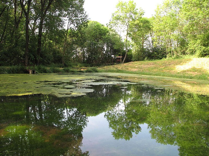 Monumentul național al naturii Rybníček u Hořany