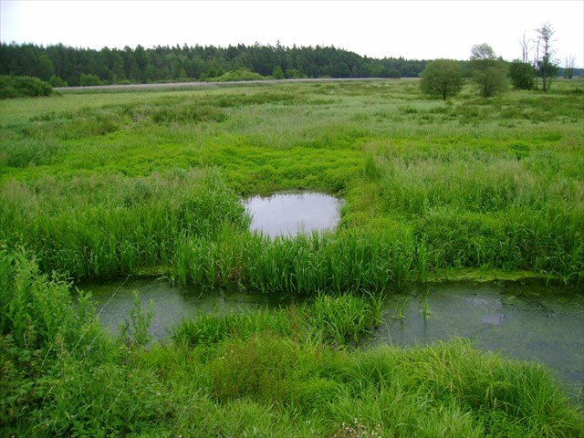 Brouskův mlýn National Nature Reserve