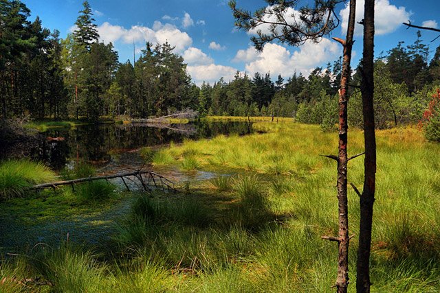 Punamudan kansallinen luonnonsuojelualue