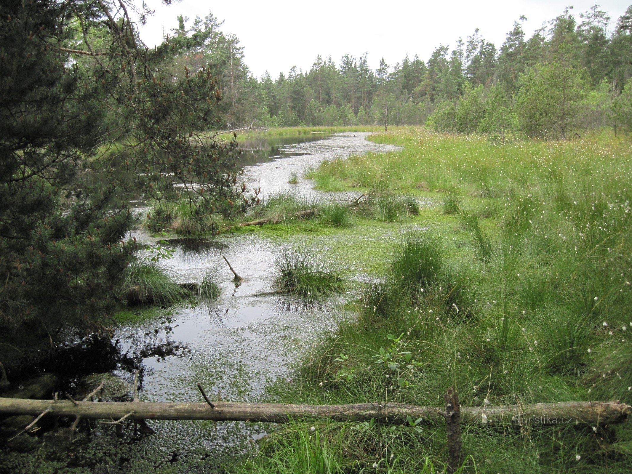 Red Mud National Nature Reserve