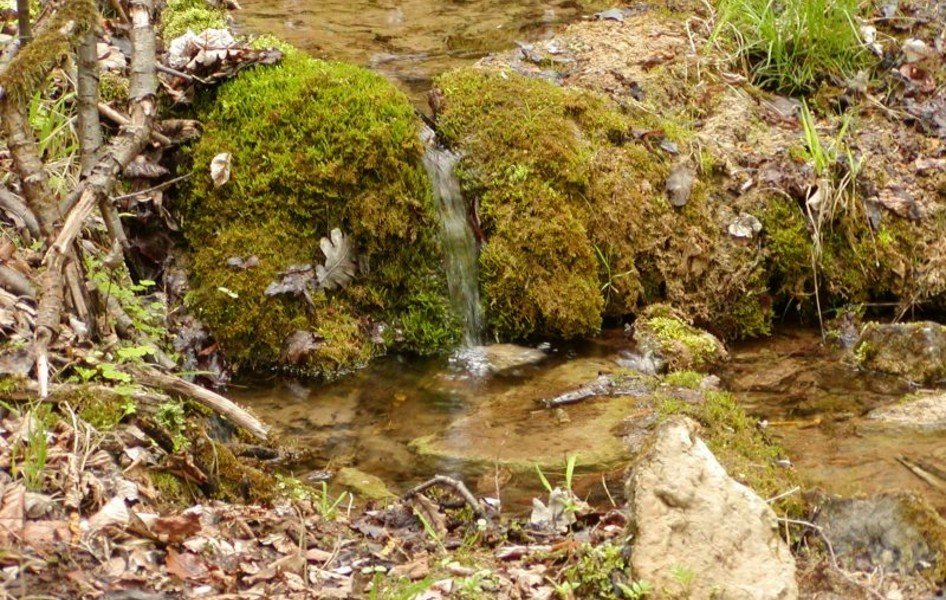 Riserva naturale nazionale di Koda