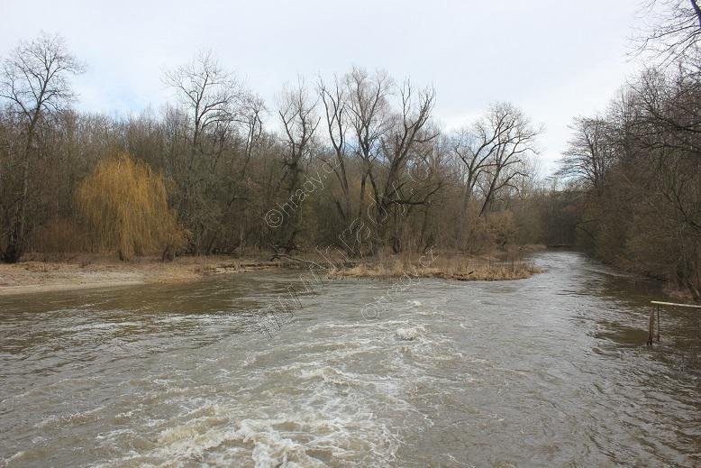 národní přírodní rezervace Ramena řeky Moravy