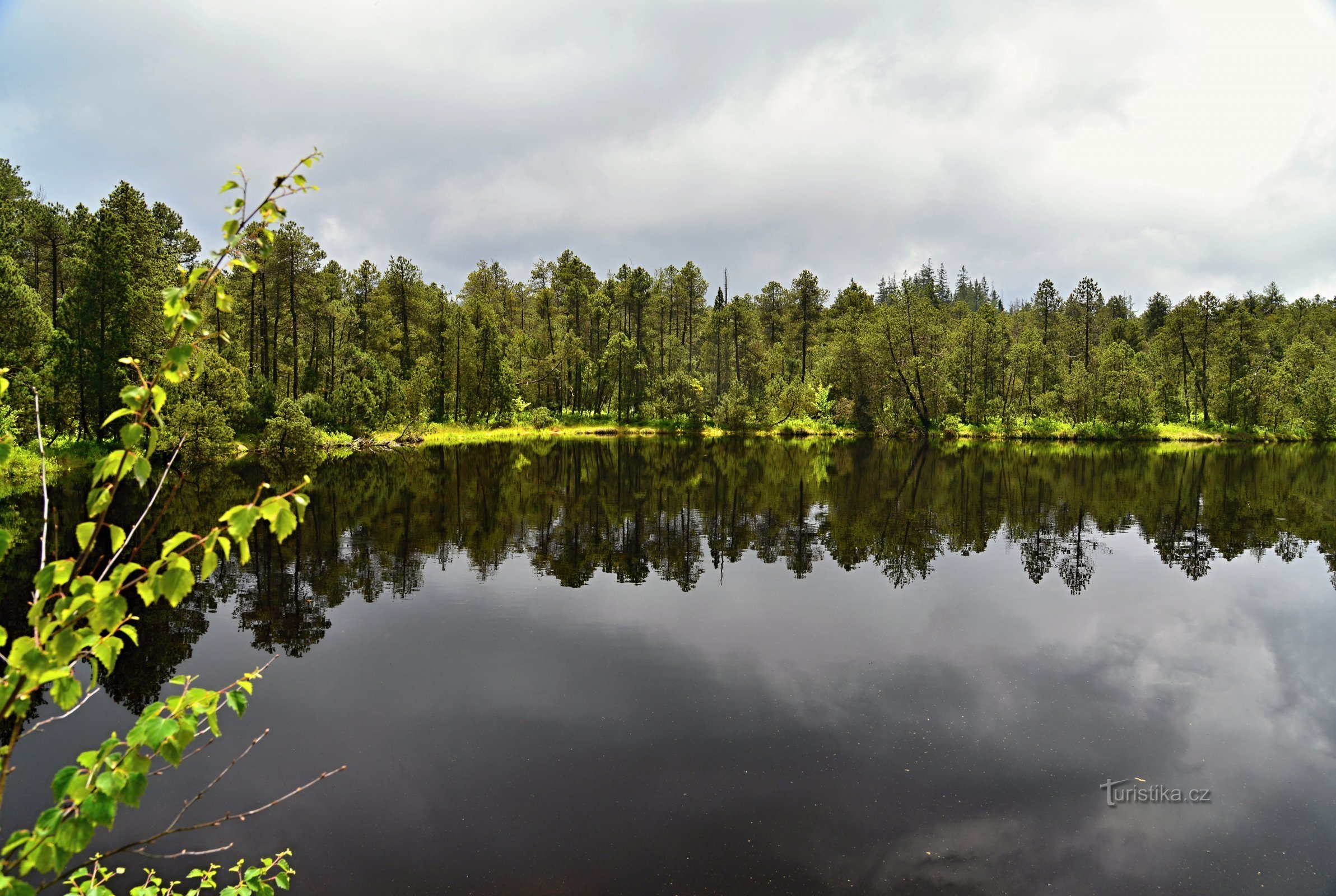 Rejvíz 国家级自然保护区 - 大苔藓湖