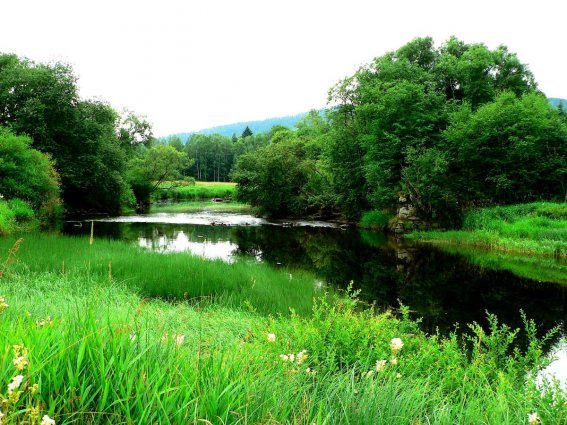 Reserva Natural Nacional Velká Niva