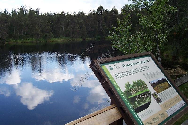 národní přírodní rezervace Velké a Malé mechové jezírko