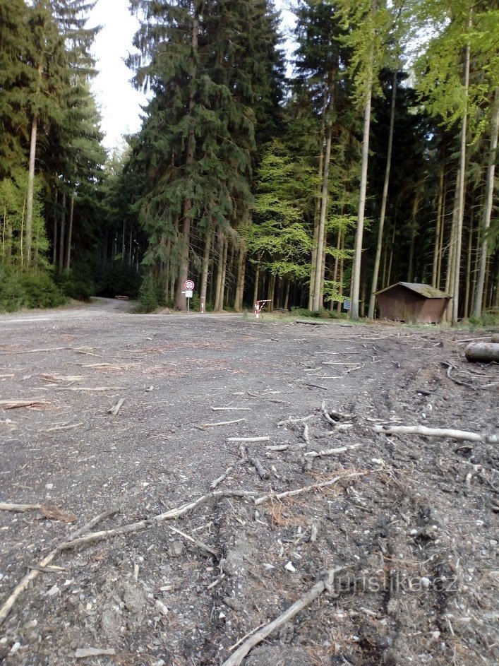 Nationales Naturschutzgebiet Velký Špičák