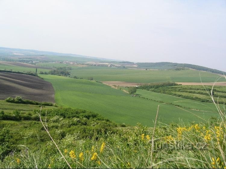 Rezervația naturală națională Větrníky