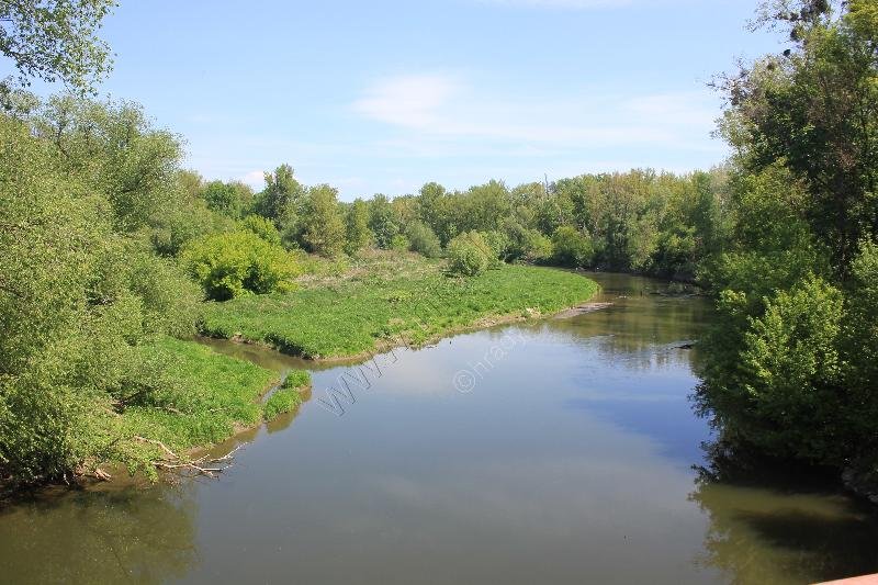 národní přírodní rezervace Zástudánčí