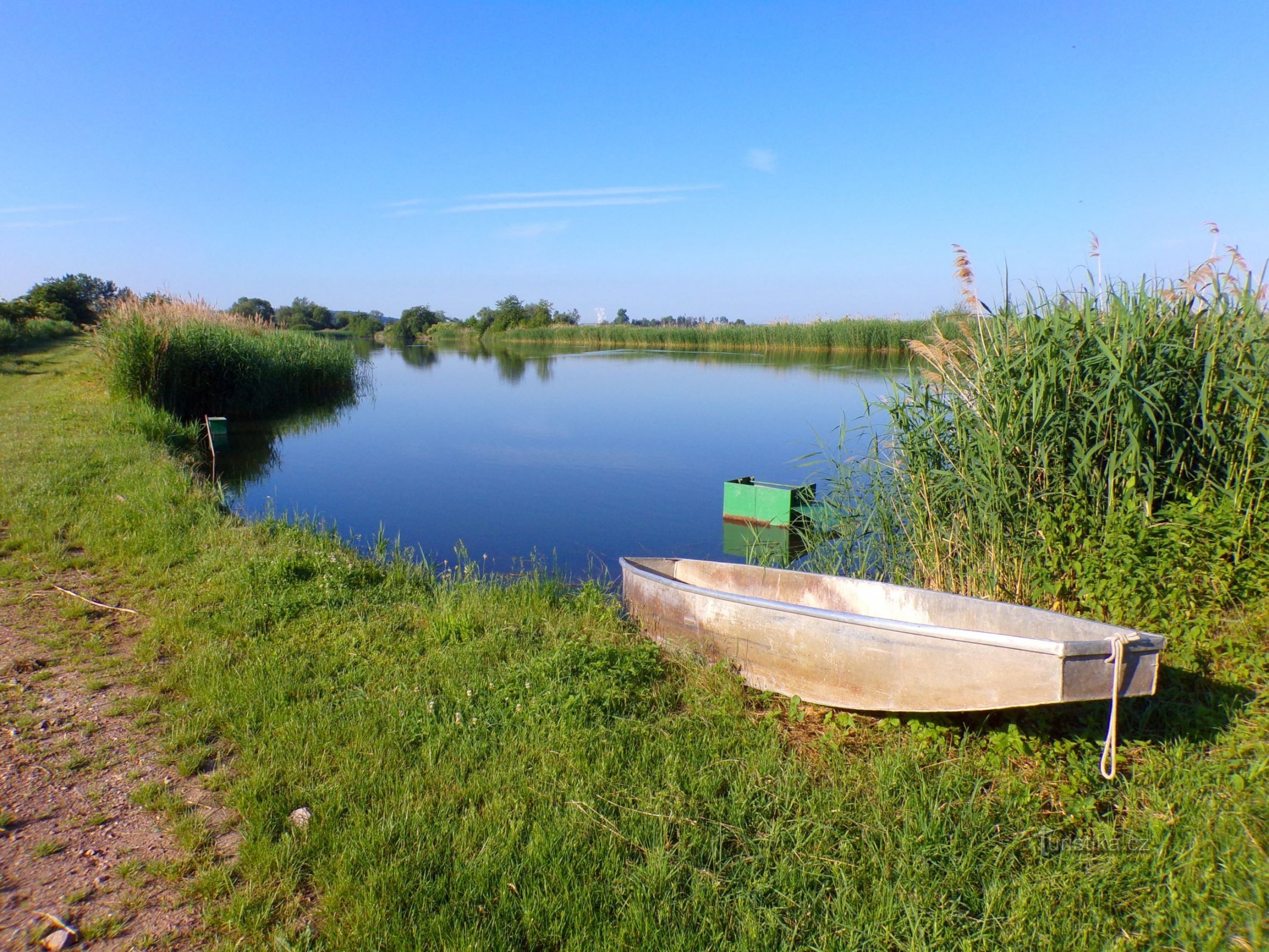 Hatchery ponds Požary (Kosičky, 11.6.2022)