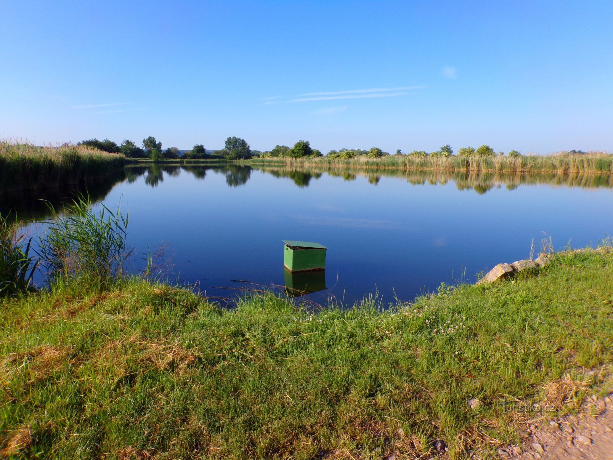 Lagoas de incubação Požary (Kosičky, 11.6.2022)