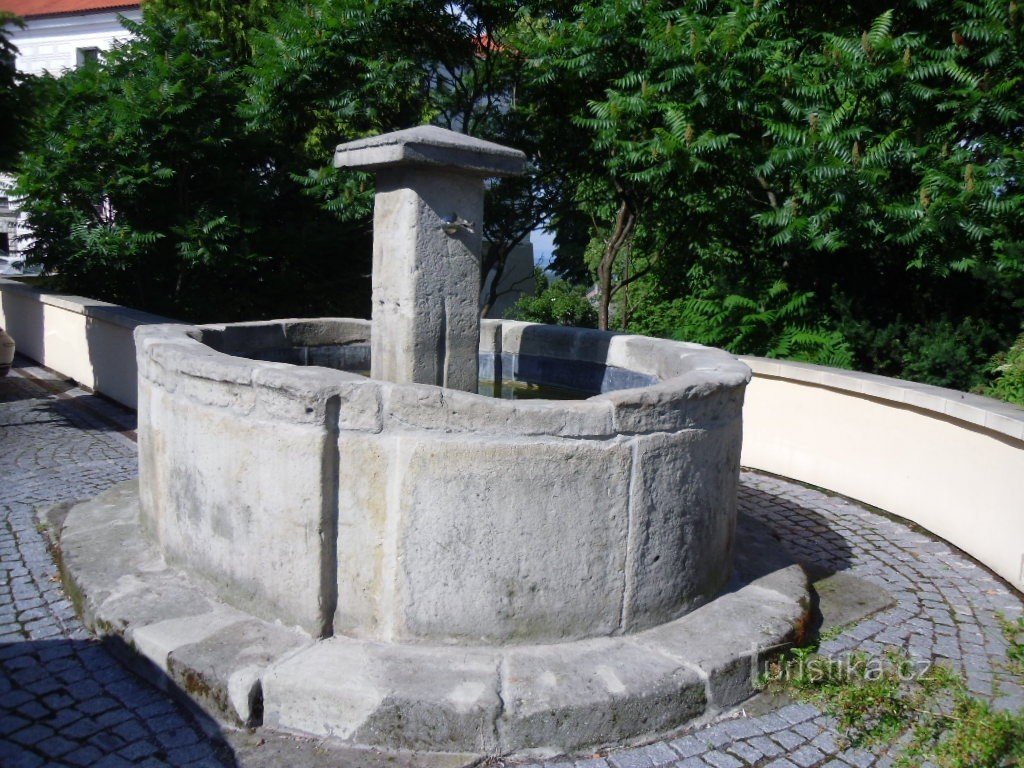 Nasavrky - fontein bij het kasteel