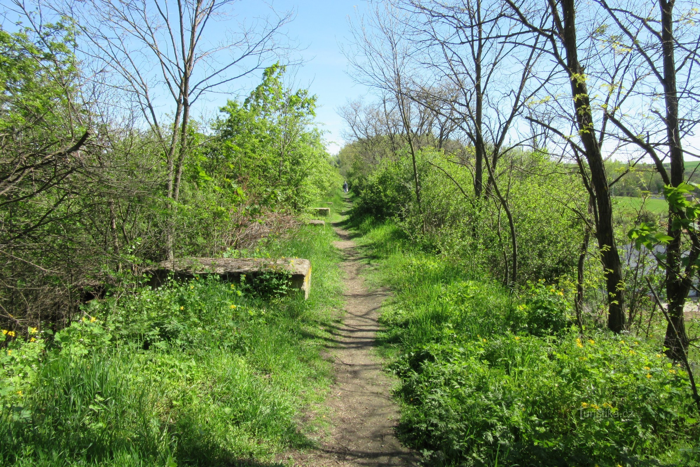 Embankment of the former railway leading to the Zbyšovské heap