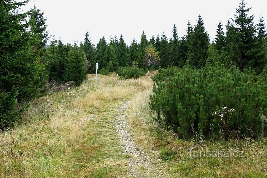 Uppstigning till Pomezní hřenb