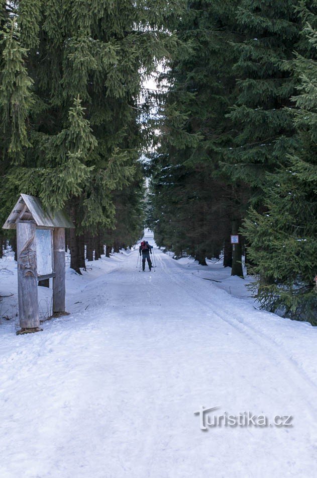 Nástup stopy na Skřítku