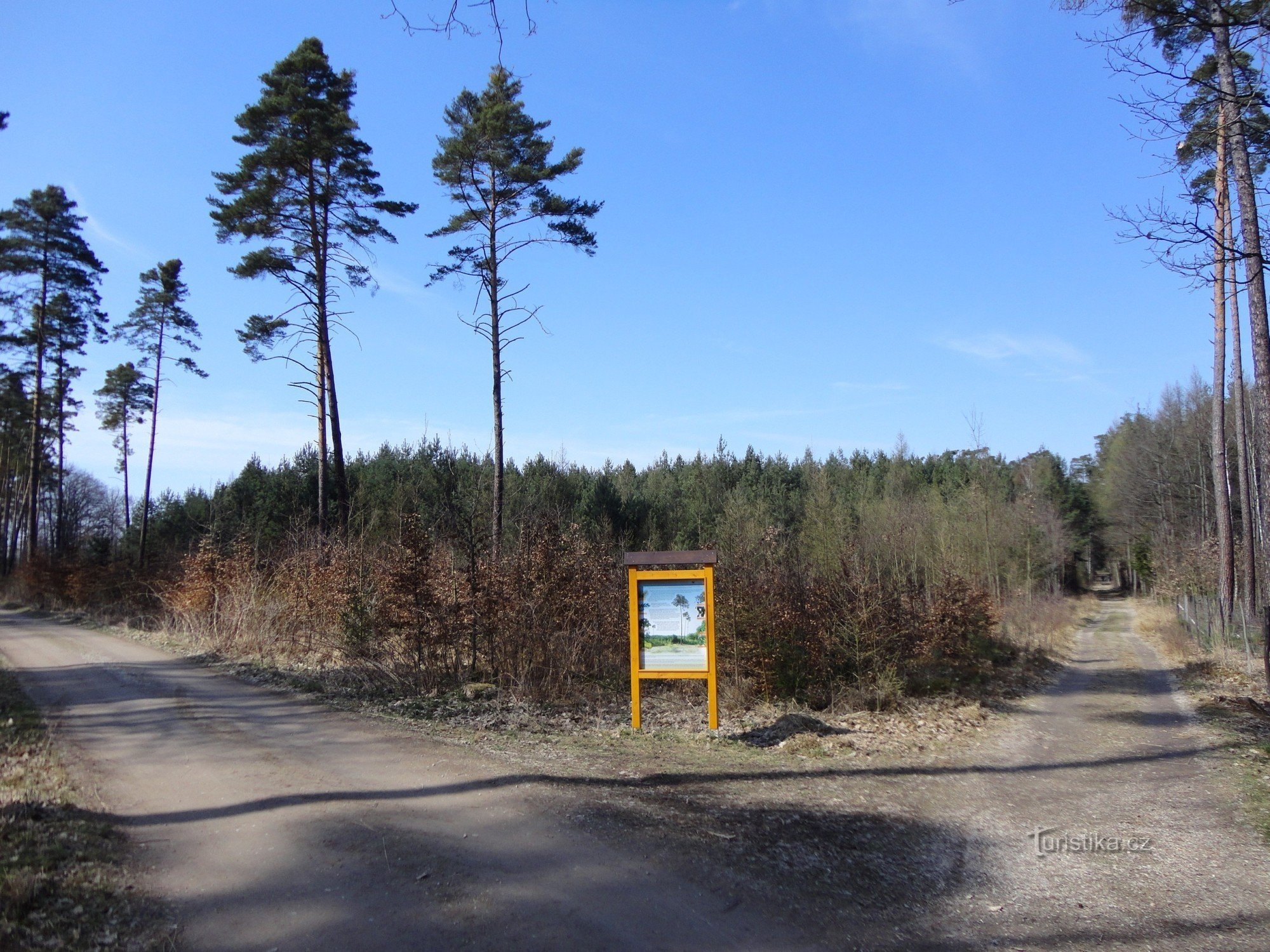 Pædagogisk natursti