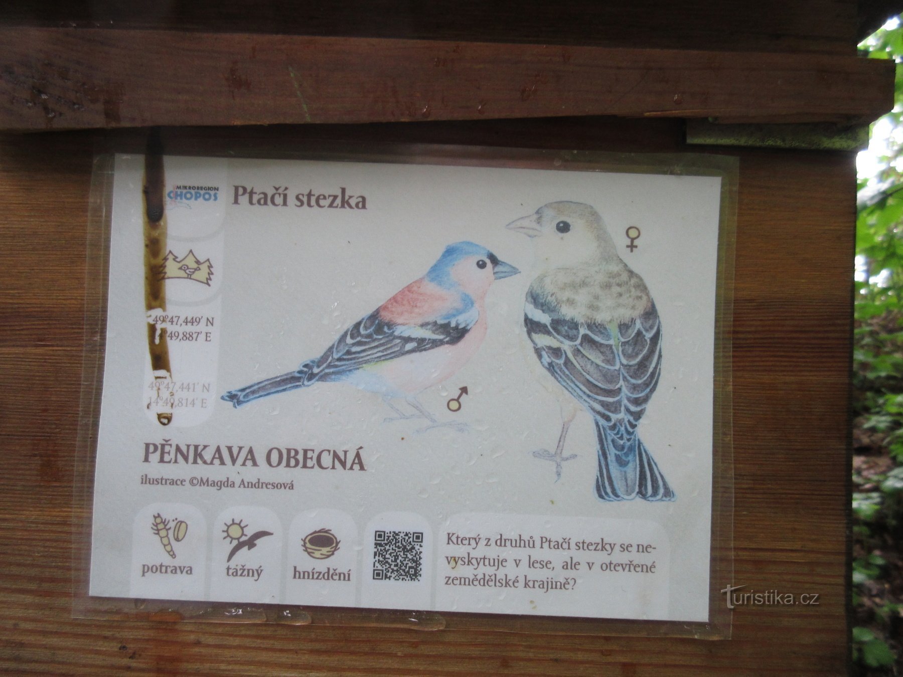 Educational Bird Trail