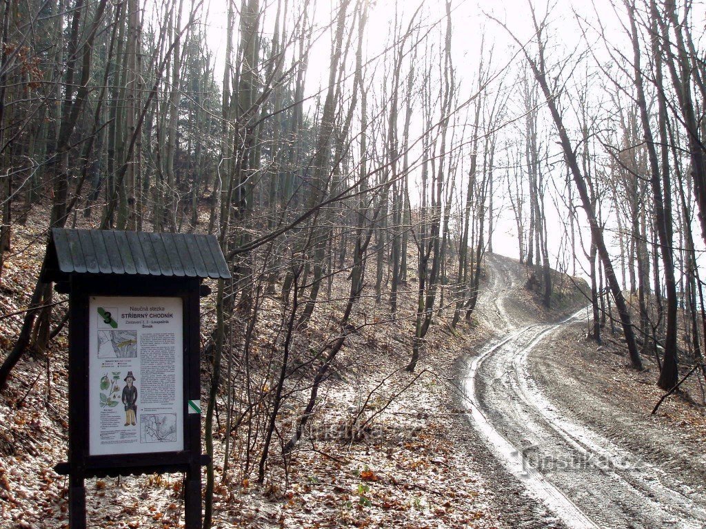 The nature trail