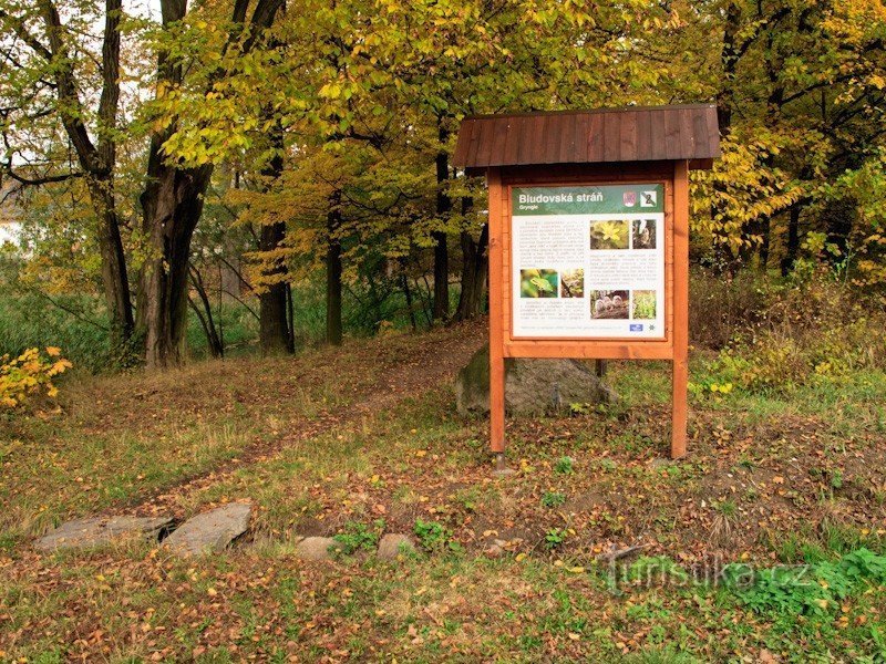 Nature Trail