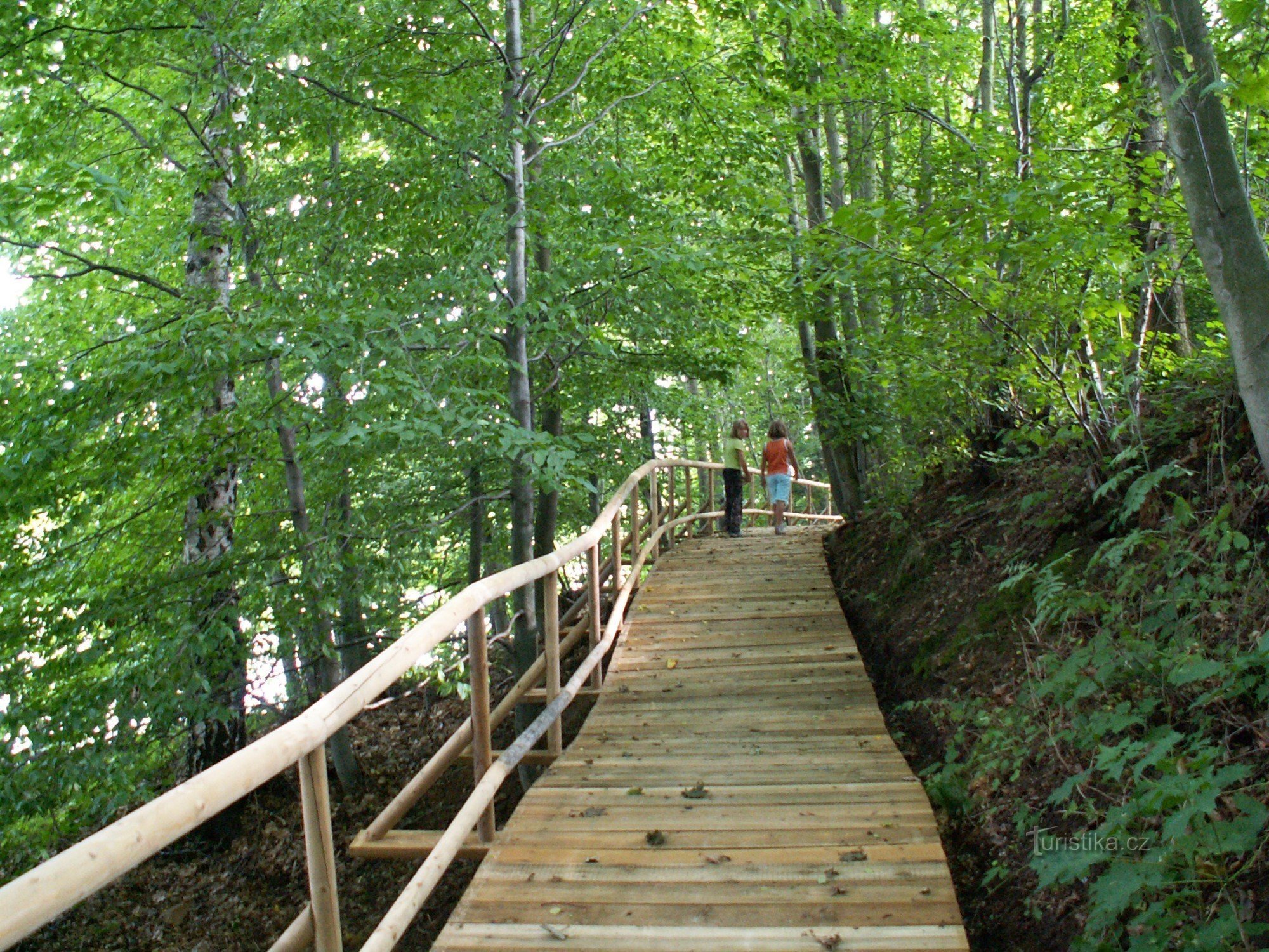 The nature trail