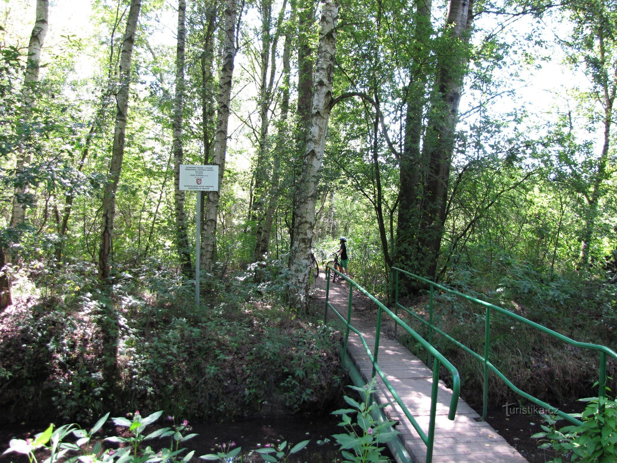 The nature trail