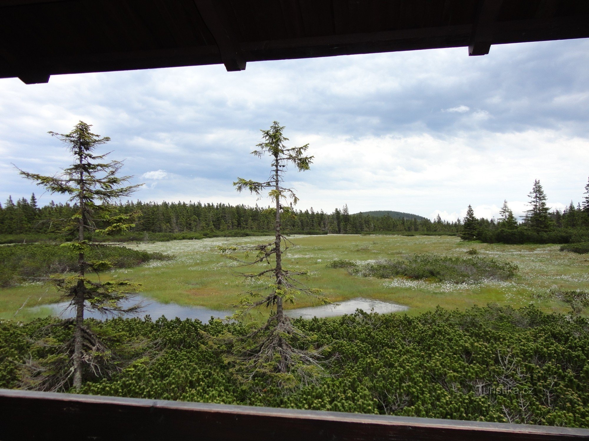 Educational trail of the Black Mountain Bog