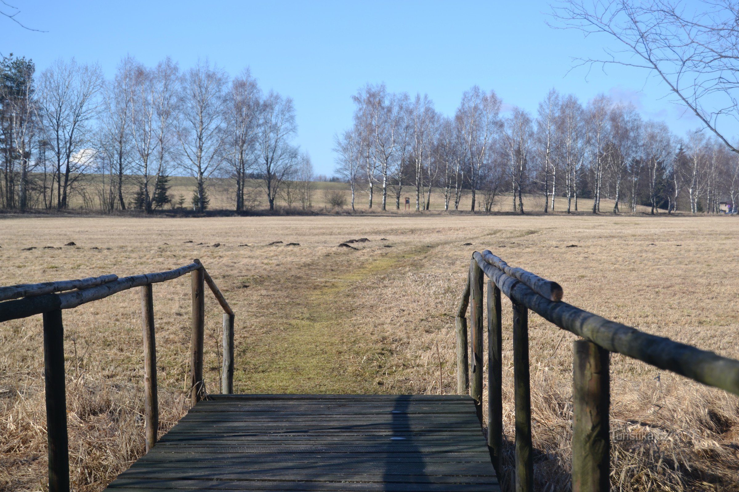 Uddannelsessti Dářská raseliniste