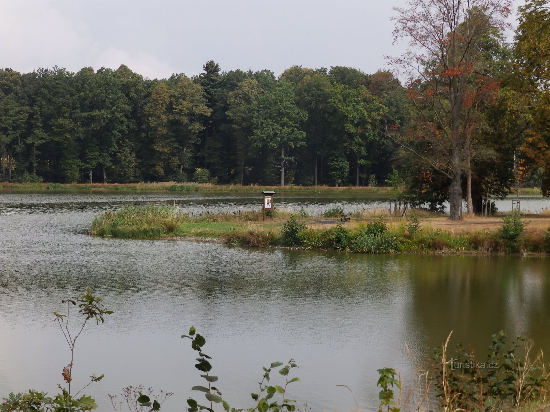 The nature trail around the castle pond in Lipová will reveal the local natural secrets