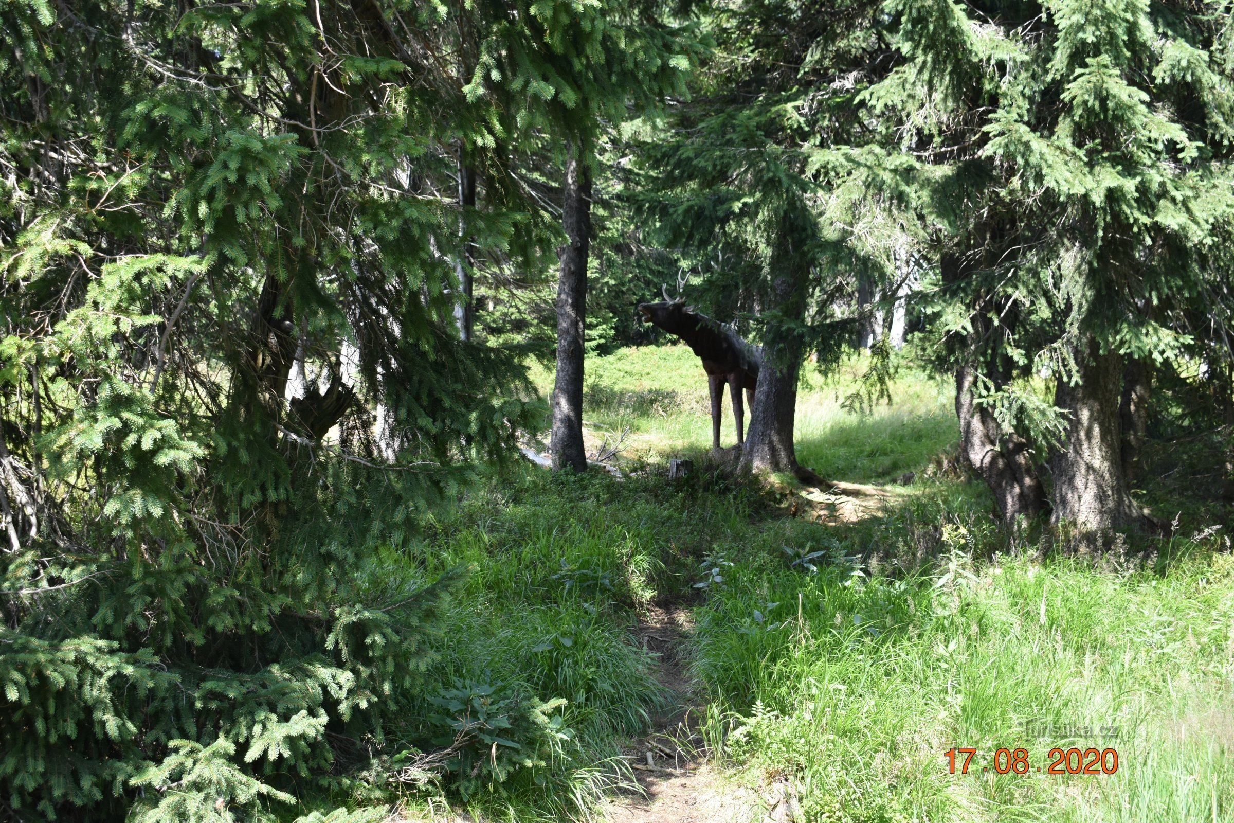 Educatieve route Krkonoše dieren