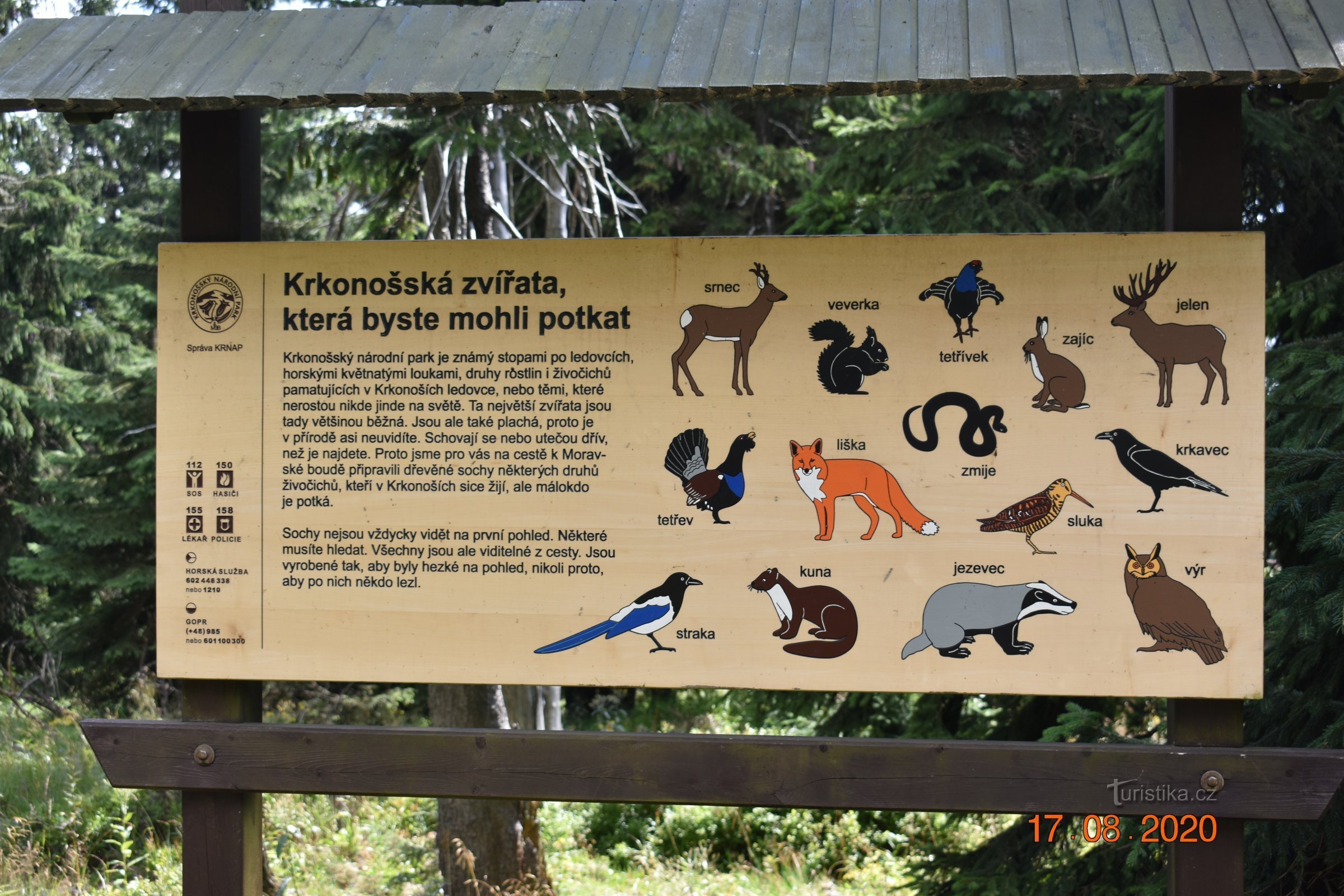 Educatieve route Krkonoše dieren