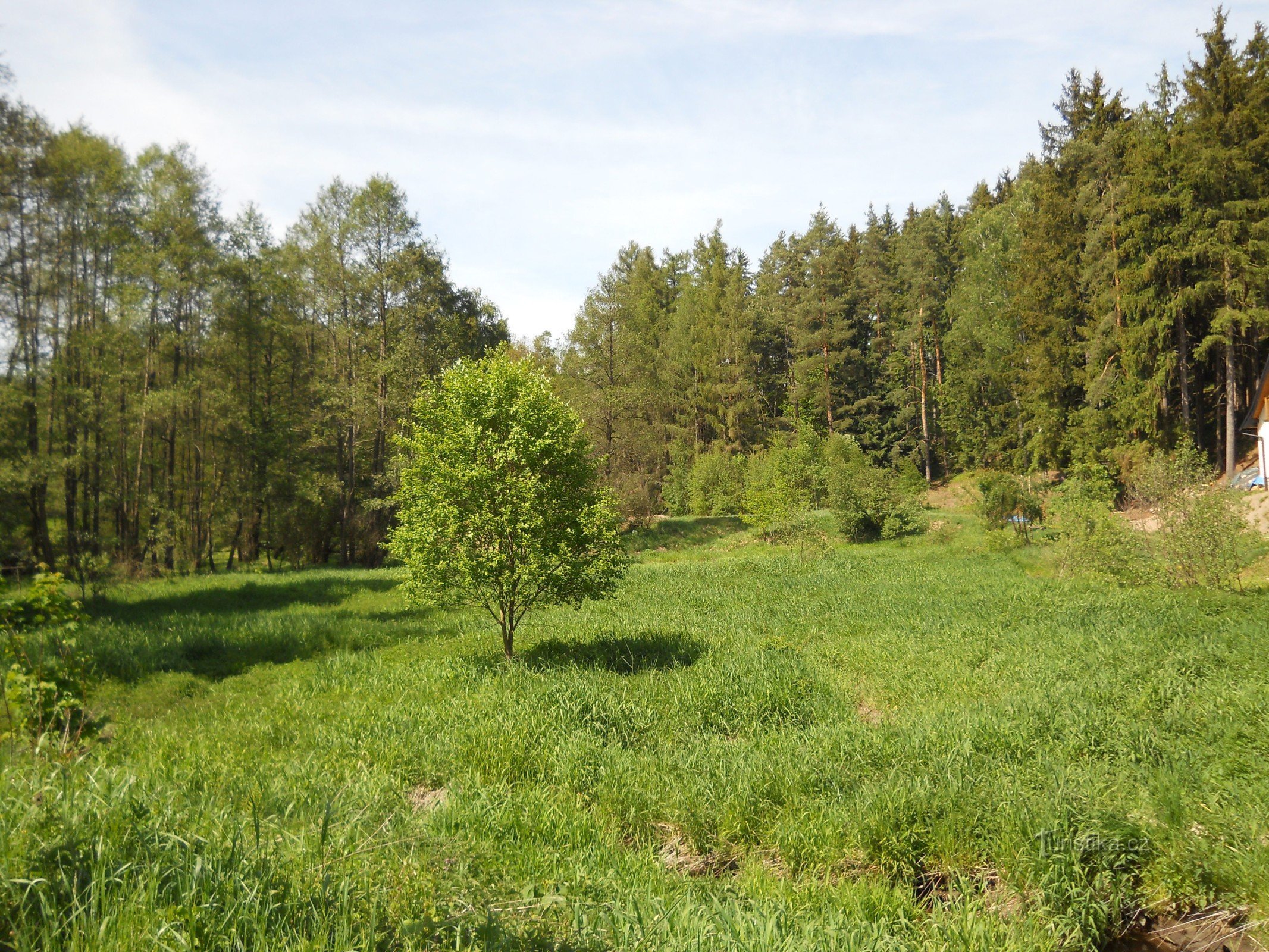 Poučna staza Okolica dvorca Seeberg