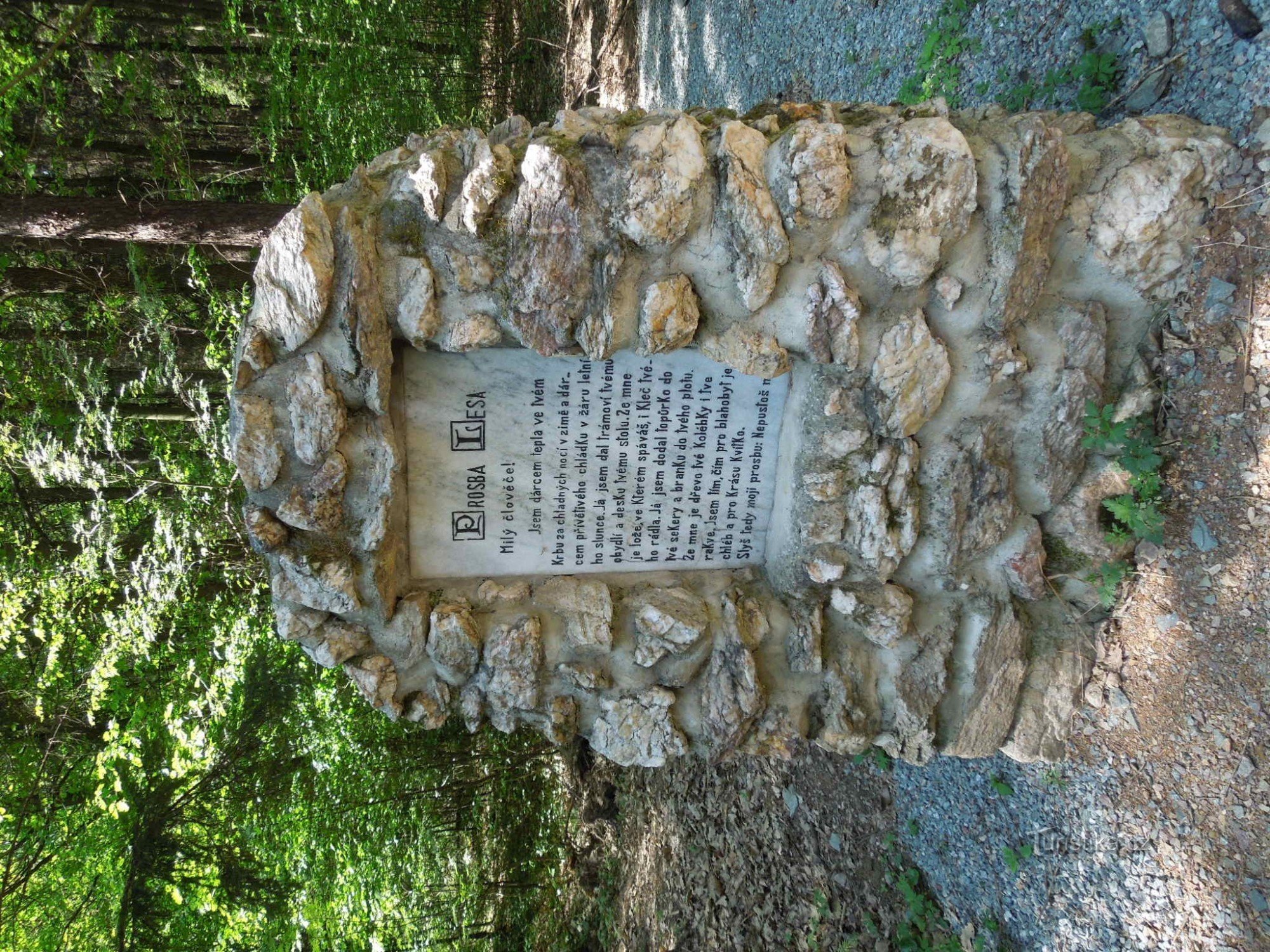 εκπαιδευτικό μονοπάτι Pre-convent