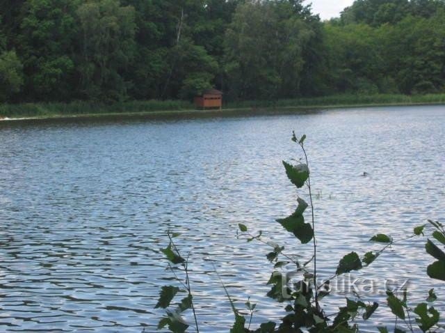 Sentiero naturalistico Velký Lomnický - Lomnice nad Lužnicí