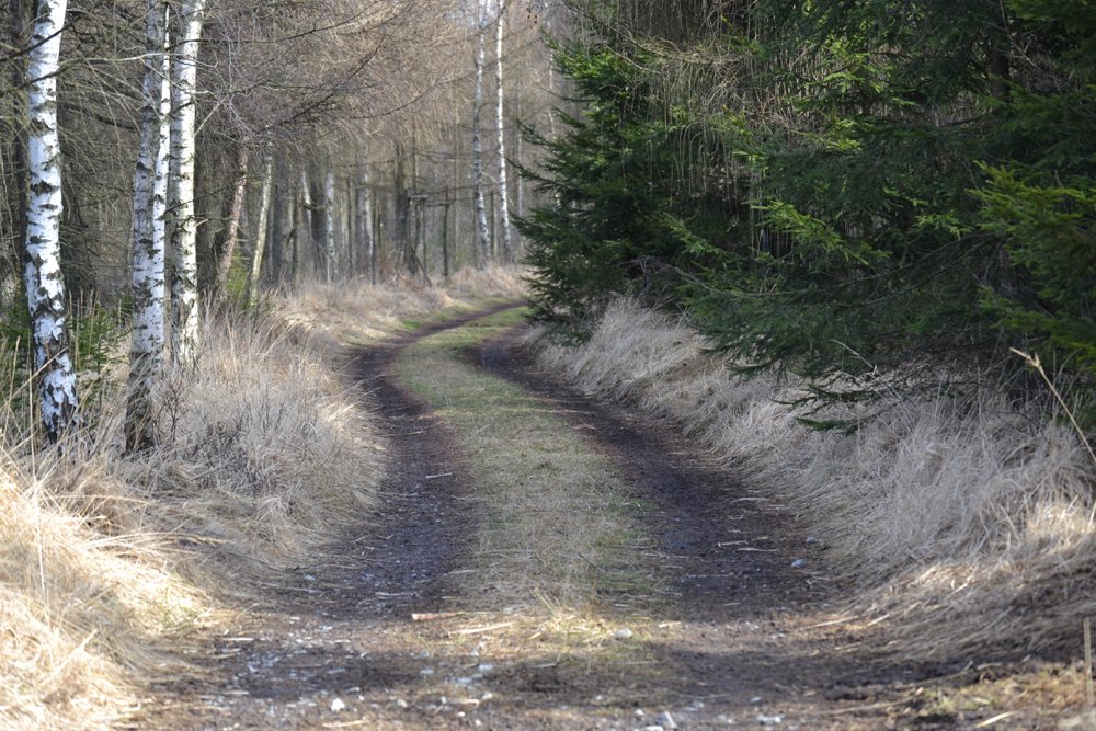 Sentier pédagogique de la Frontière oubliée