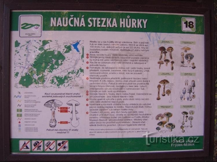 bảng giáo dục trên điểm đánh dấu màu xanh ở đầu khu rừng Rovná